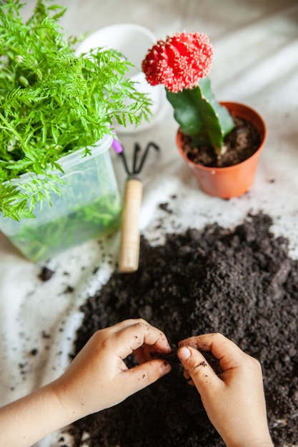 From above anonymous kid playing with heap of fertile soil on\
white tablecloth near natural plants and pots