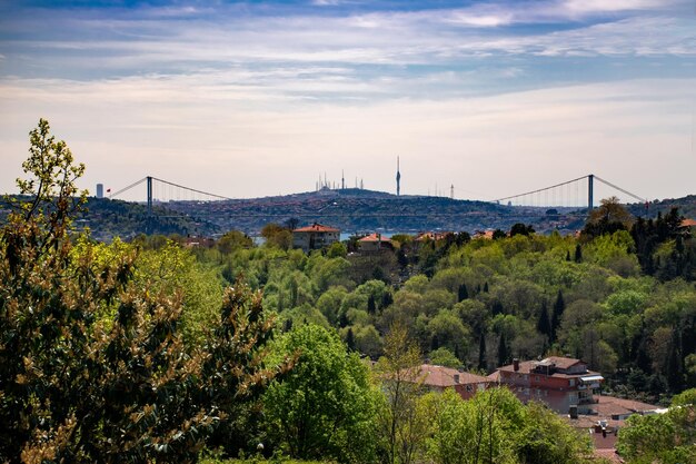 From balcony green landscape front of the bridge in istanbul city sunny spring day