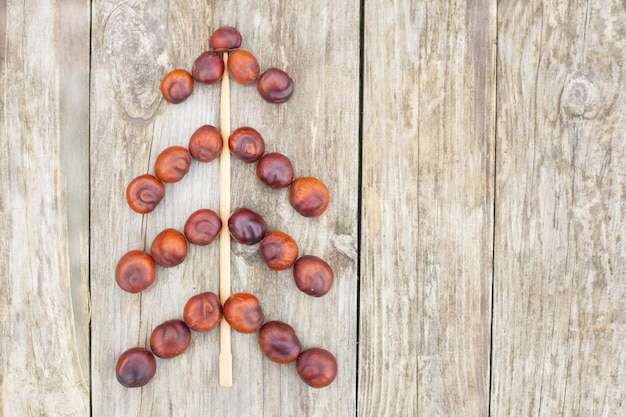 From the fruits of chestnuts on a wooden background laid out an unusual Christmas tree