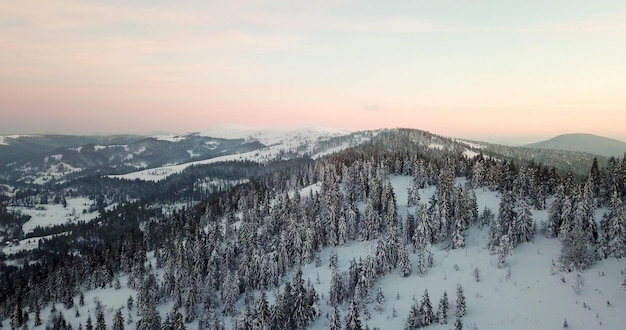 おとぎ話のような山の風景から雪に覆われた高山の鋭い山頂カルパティア山脈の野生の冬ウクライナ厚い白い雲オープンスペース空中4K