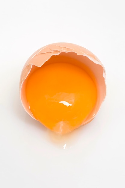 Front egg yolk in shell