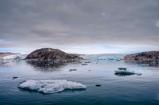 アサリの海の氷河の前