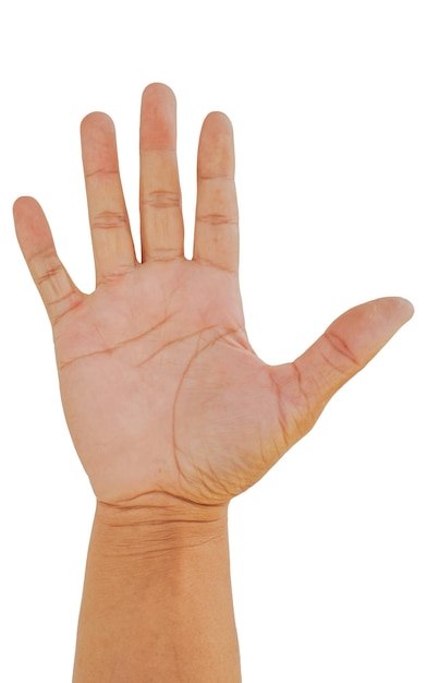 Photo front hand open and ready to help or receive gesture isolated on white background with clipping path helping hand outstretched for salvation