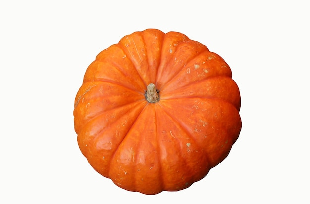 Front top large pumpkin isolated over white