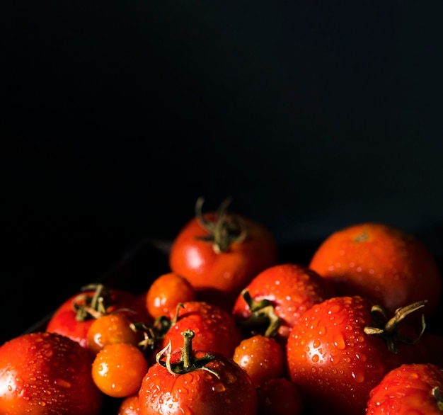 Foto vista frontale dei pomodori autunnali con copia spazio