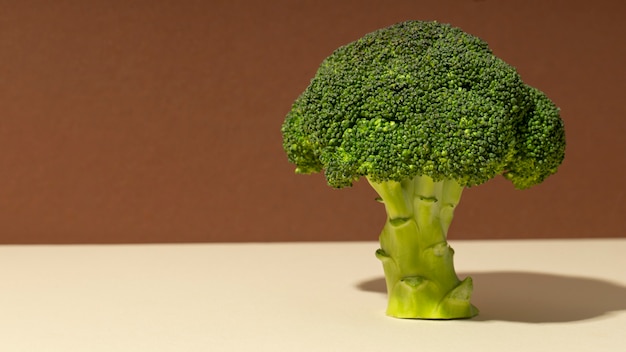 Front view of a broccoli