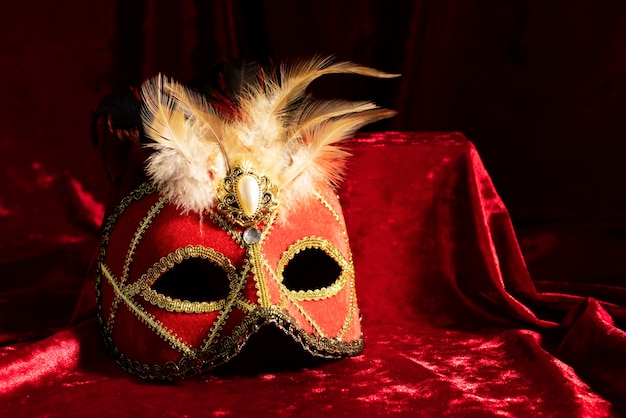 Front view of carnival mask with golden jewelry and feathers