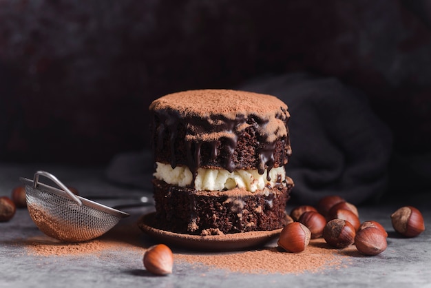 Vista frontale della torta al cioccolato con setaccio e castagne