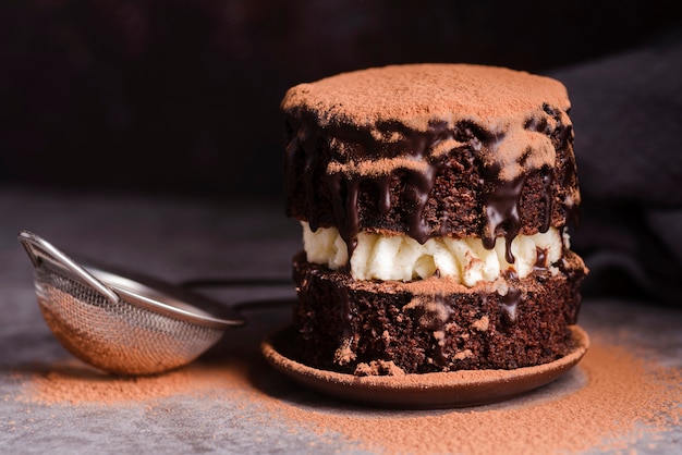 Front view of chocolate cake with sieve and cocoa powder