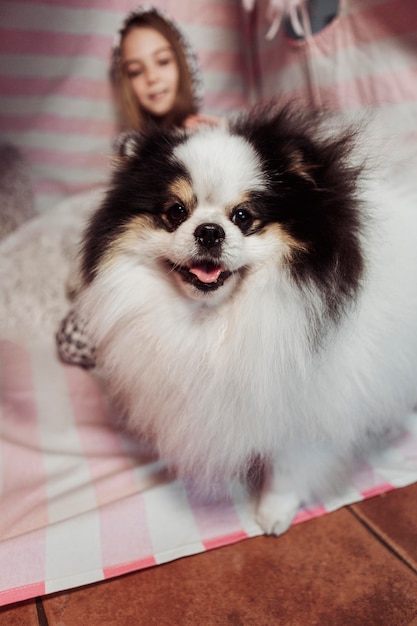 写真 正面図かわいい犬とぼやけた女の子