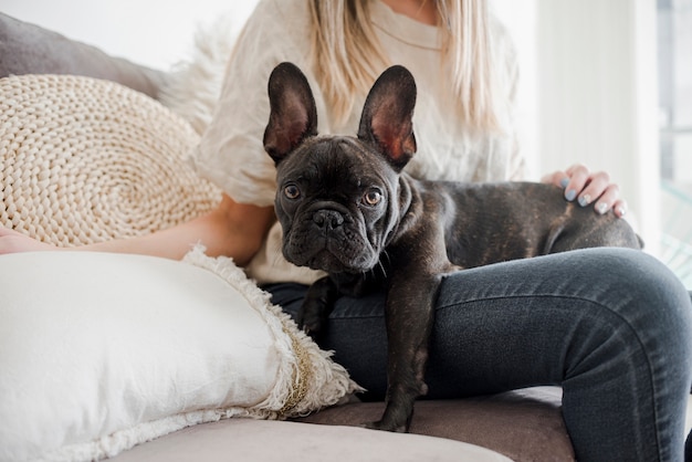 Foto bulldog francese di vista frontale che esamina macchina fotografica