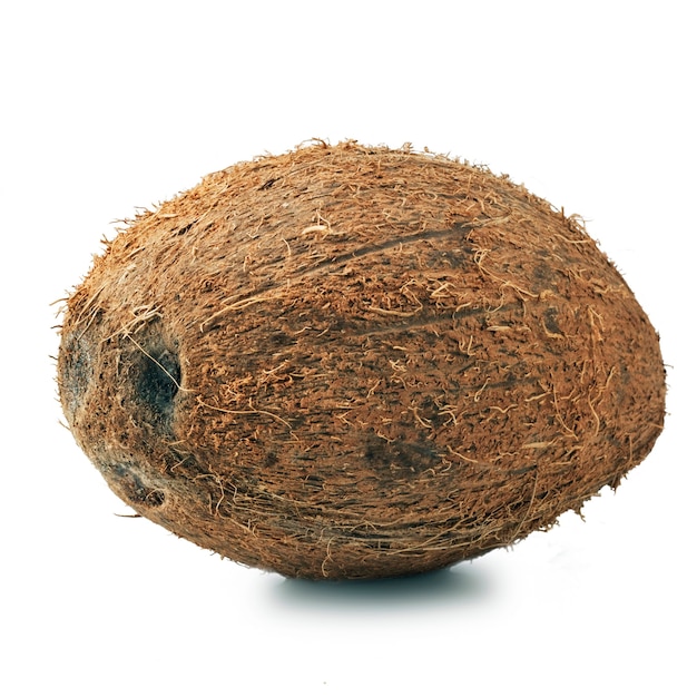 Front view of fresh coconut