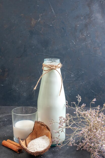 Front view fresh milk in bottle and little glass on gray background breakfast dough milk pie food cornflakes cake color