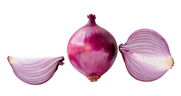 front view of fresh red or purple onion with half and quarter in set is isolated on white background