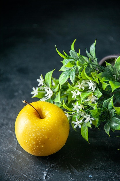 front view fresh yellow apple on dark background photo ripe mellow pear fruit color