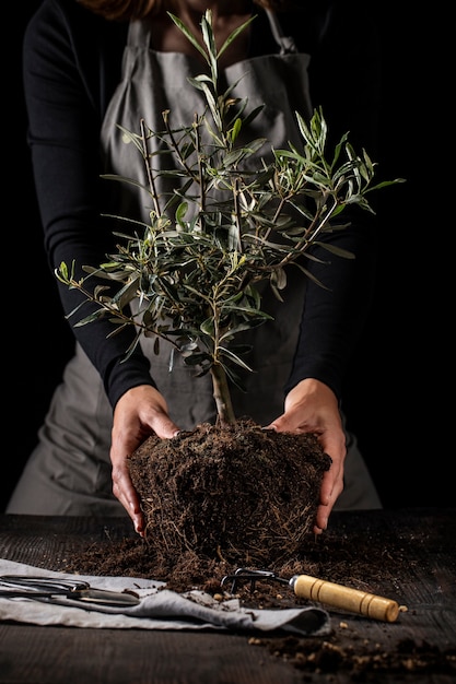 Фото Садовник, вид спереди, держит растение