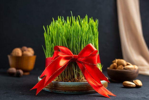 Photo front view green holiday semeni with red bow on dark surface