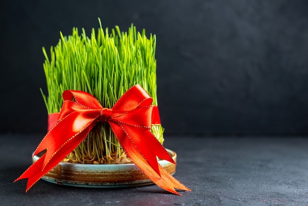 Front view green holiday semeni with red bow on dark surface