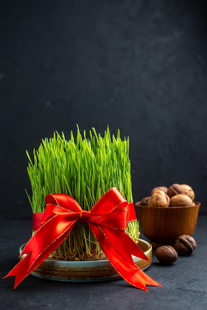 Front view green semeni with red bow on dark surface