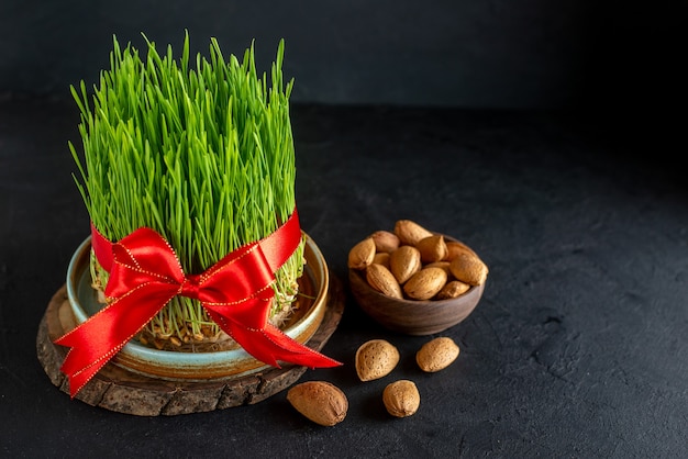 Front view green semeni with red bow and nuts on dark surface