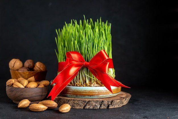 Photo front view green semeni with red bow nuts and walnuts on dark surface