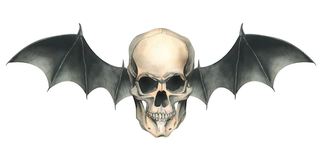Foto cranio umano con vista frontale con ali di pipistrello nere per le vacanze del giorno della morte e halloween illustrazione acquerello disegnata a mano composizione isolata su sfondo bianco
