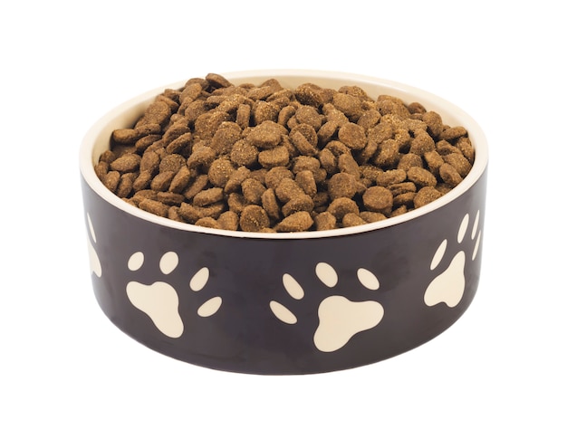 A front view of an isolated dog bowl with dog dry food