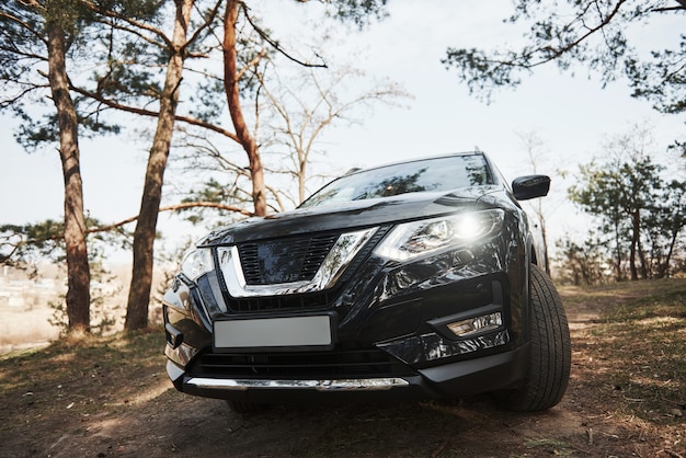 Front view of luxury black modern automobile parked outdoors in the forest