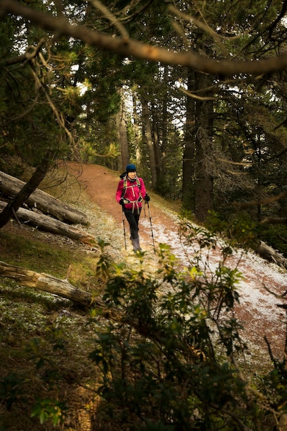 Foto vista anteriore di un uomo che cammina sul sentiero della foresta