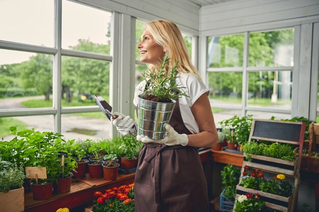 Front view of a merry blonde lady with a flowerpot and a trowel looking out of the window