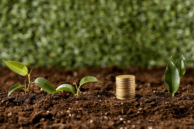 Фото Вид спереди монет, сложенных на грязи с растениями