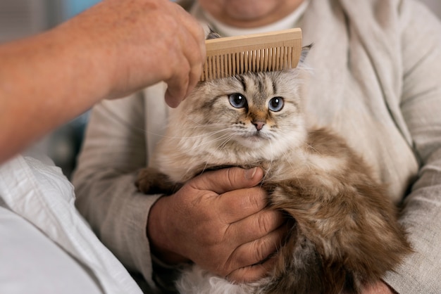 Photo front view owner holding cute cat