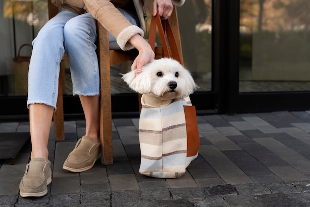 写真 バッグに犬を入れた正面図の所有者