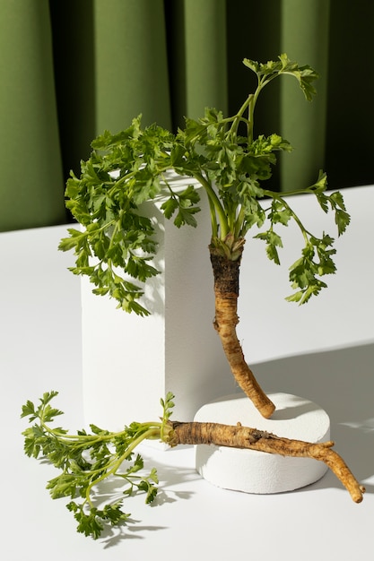 Photo front view of a parsnips