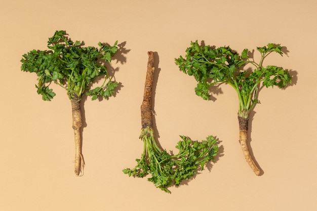 Photo front view of a parsnips