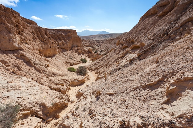 front view of a ravine of fossil sands