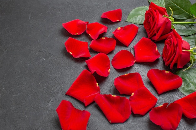 Front view red rose petals for valentines day on dark background color feeling couple heart passion marriage love woman