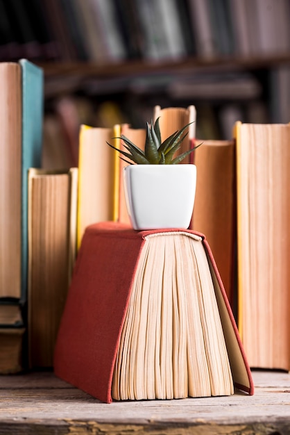 Photo front view of succulent standing on hardback book in the library