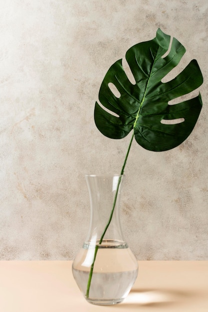 Photo front view of tropical leaf in vase