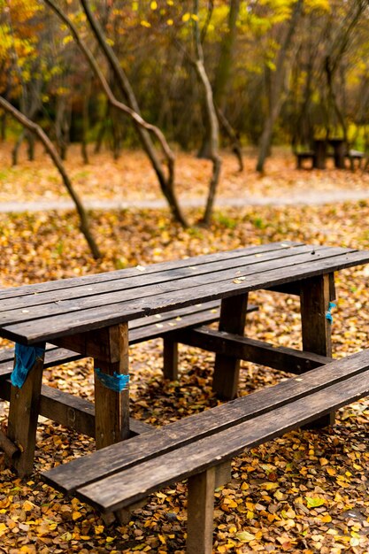 The front view of a wooden bench with a tables in the garden at noon Autumn park with golden leaves background Closeup