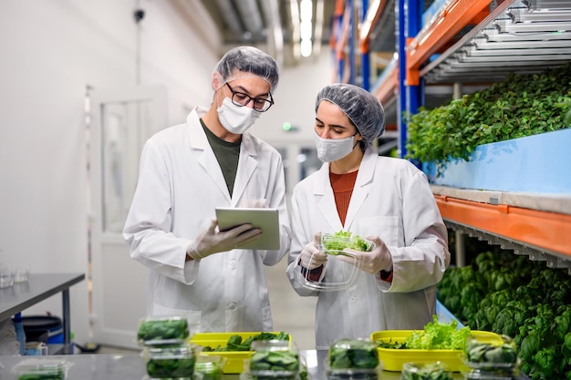 Photo front view of workers with face mask on aquaponic farm, sustainable business and coronavirus.