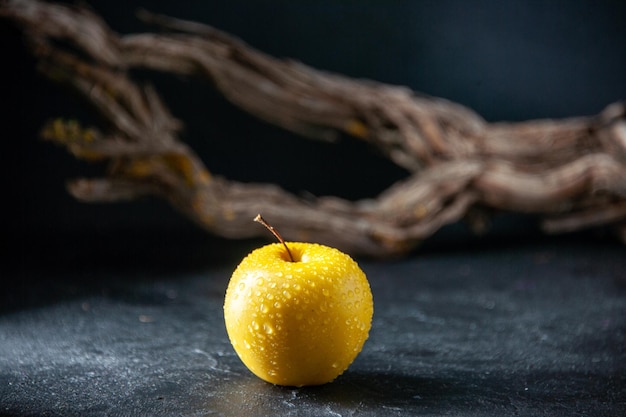 front view yellow apple on a dark background mellow photo ripe pear color flower fruit tree