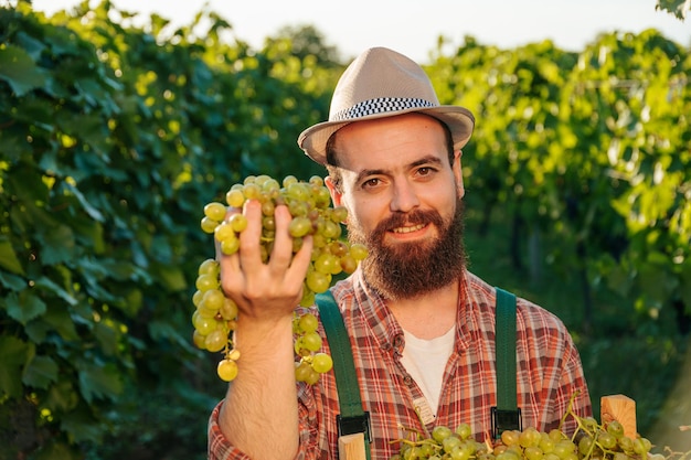 Front view young farmer man agronomist middle of grape bushes smile hold bunch ripe grape hands