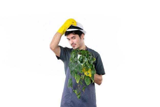 Front view young male gardener holding plant on white background garden tree ground green job grass gardener flower