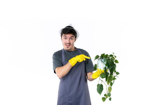 白い背景に植物を保持している黄色の手袋の正面図若い男性花庭草の木庭師緑の仕事