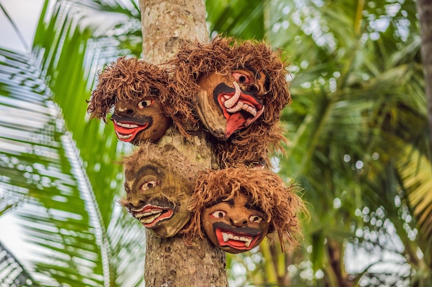 Vista frontale del personaggio di una creatura simile a un leone di barong nella mitologia di bali indonesia