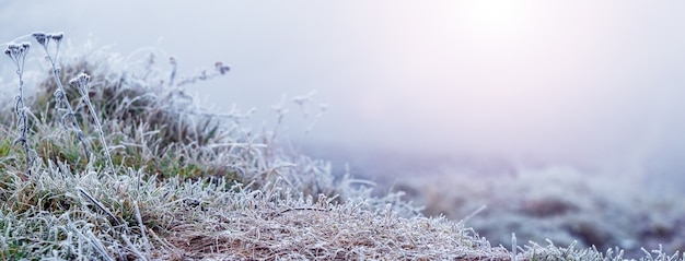 Frost-covered grass in the winter morning during sunrise