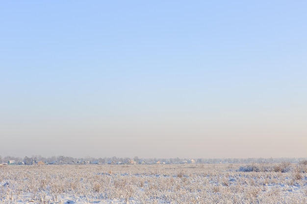 Frost on the grass in the snowy field