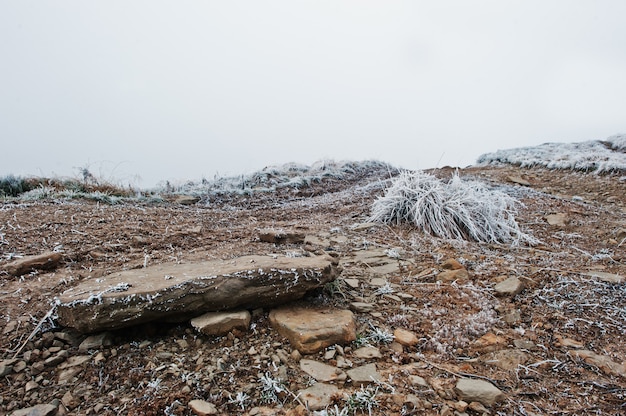 Frost stones on mountain climbing at hill 