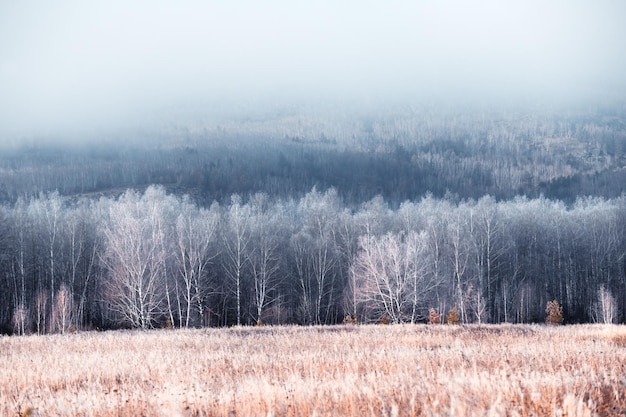 안개가 자욱한 일출에 겨울 산의 서리 덮인 나무와 잔디 아름다운 겨울 풍경